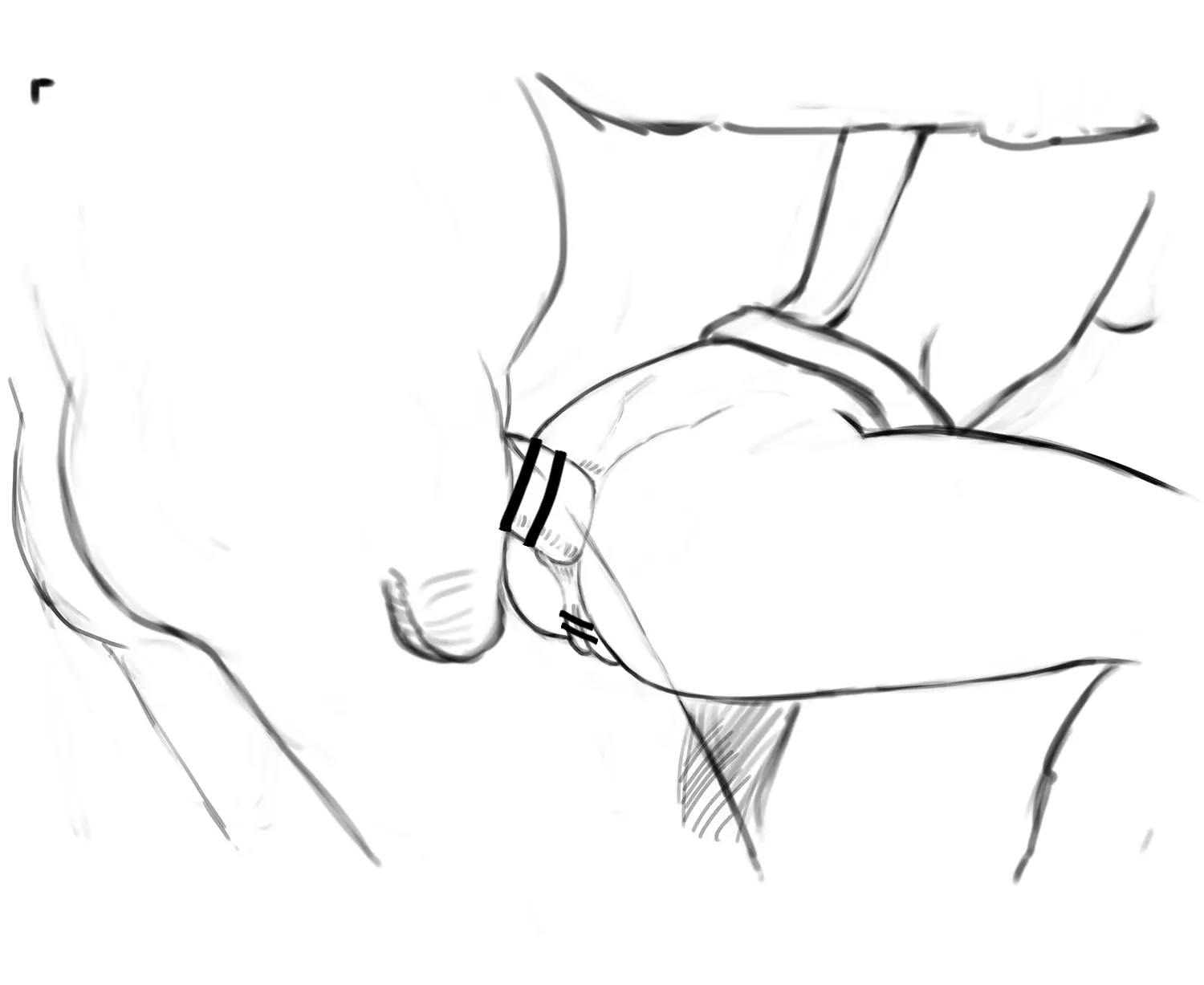 김씨와토끼귀